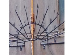 供应煤气管道防盗刺 管道防爬刺厂家批发图3