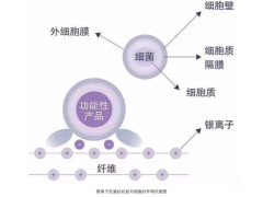 供应抗菌防霉剂图3