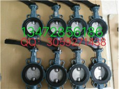 现货德国依博罗蝶阀Z011-A DN350图4