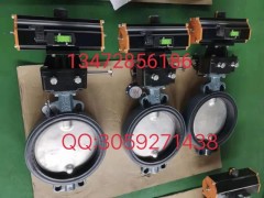 德国依博罗T212-A 衬PTFE双法兰防腐蝶阀图2