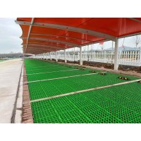 车库顶停车场消防通道绿化植草格 广场人行道50mm花口平口植草格