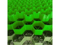 车库顶停车场消防通道绿化植草格 广场人行道50mm花口平口植草格图2