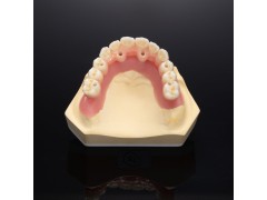 深圳假牙出口欧美认证义齿生产厂家 外贸出口义齿产品图2