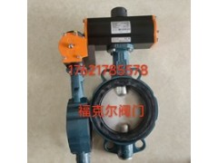 原装正品依博罗Z014-A型EBRO支耳式蝶阀图2