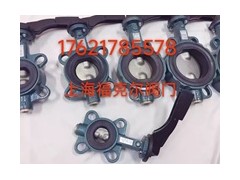 原装正品依博罗Z014-A型EBRO支耳式蝶阀图3