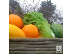 四川成都水性氟碳涂料-水性氟碳树脂漆-高装饰性图3