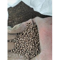 压箱丸 配重钢丸 铁丸 规格3-6mm厂家晟博安